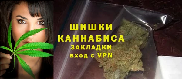хмурый Козловка