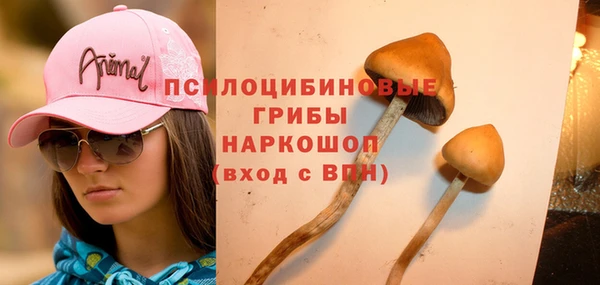экстази Кодинск