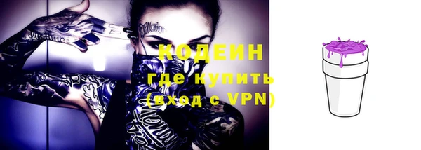 хмурый Козловка
