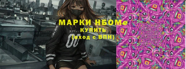 хмурый Козловка