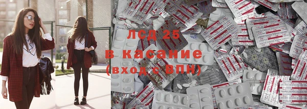 хмурый Козловка