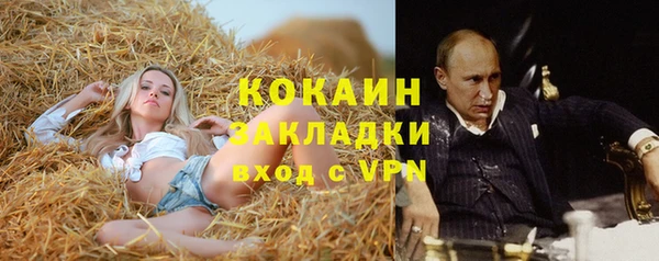 МДПВ Козельск