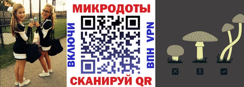 Купить закладки  Иркутск  Псилоцибиновые грибы Magic Shrooms 